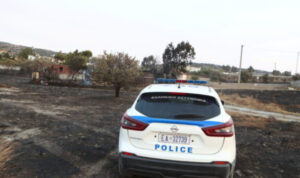 Μεσσηνία: Συνελήφθησαν πυροσβέστης και πρώην πρόεδρος κοινότητας για φωτιές σε χωράφια αγροτών που δεν τους πλήρωναν! (βίντεο-φωτογραφία)