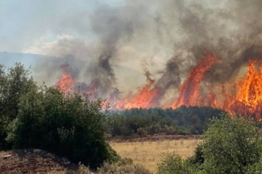 ΦΩΤΙΑ ΠΥΡΟΣΒΕΣΤΙΚΗ