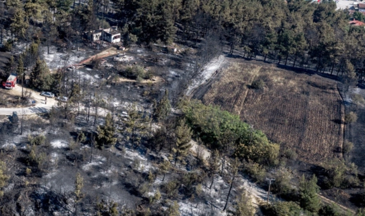 Φωτιά στο Ωραιόκαστρο: Στο μικροσκόπιο των Αρχών το βίντεο με το τσιγάρο