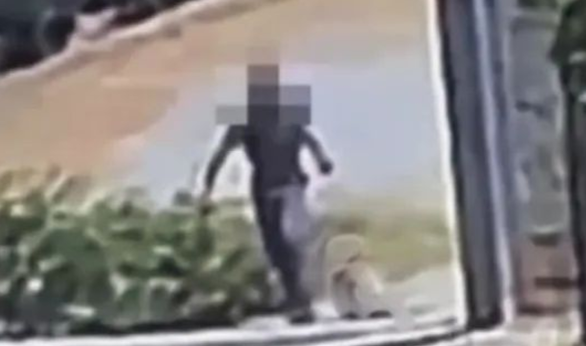 Κτηνωδία στο Άστρος : Άνδρας σέρνει νεκρό σκύλο με σύρμα στο λαιμό και τον πετά στα σκουπίδια-Βίντεο