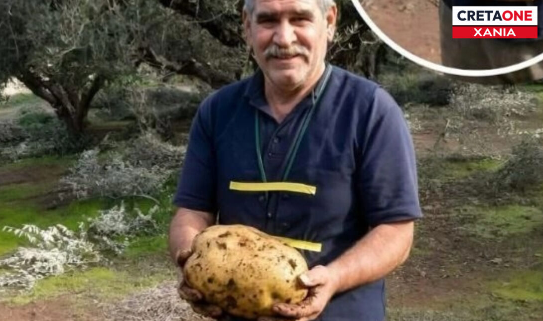 ΠΑΤΑΤΑ ΓΙΓΑΣ ΧΑΝΙΑ
