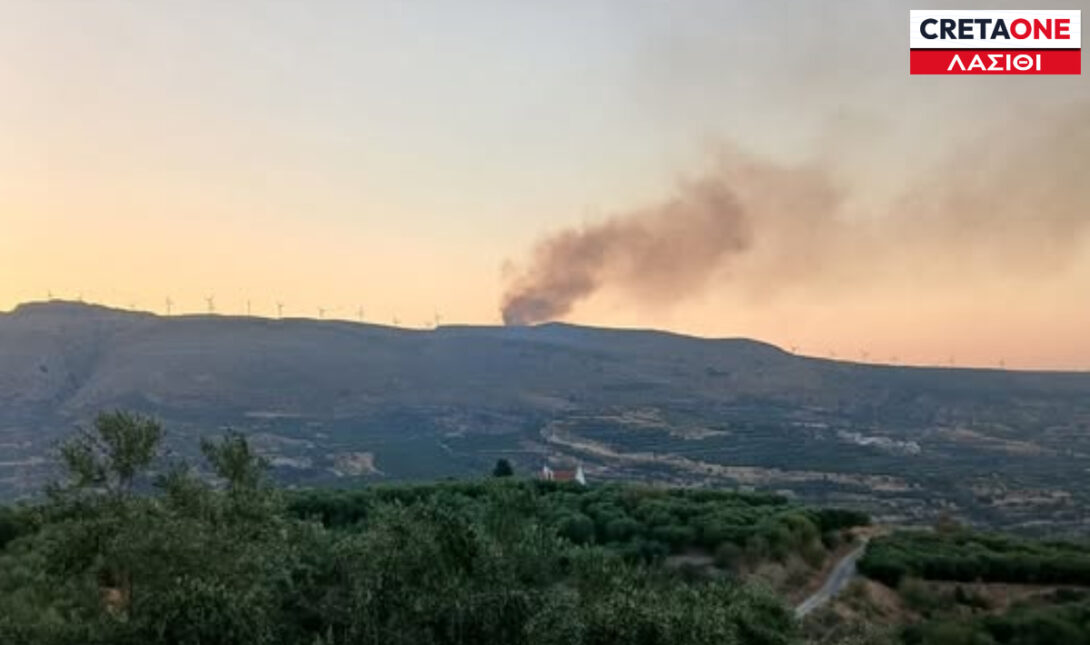 ΦΩΤΙΑ ΣΗΤΕΙΑ