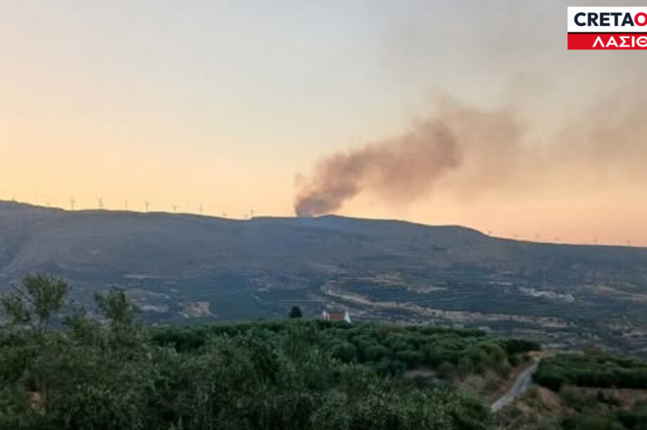 ΦΩΤΙΑ ΣΗΤΕΙΑ