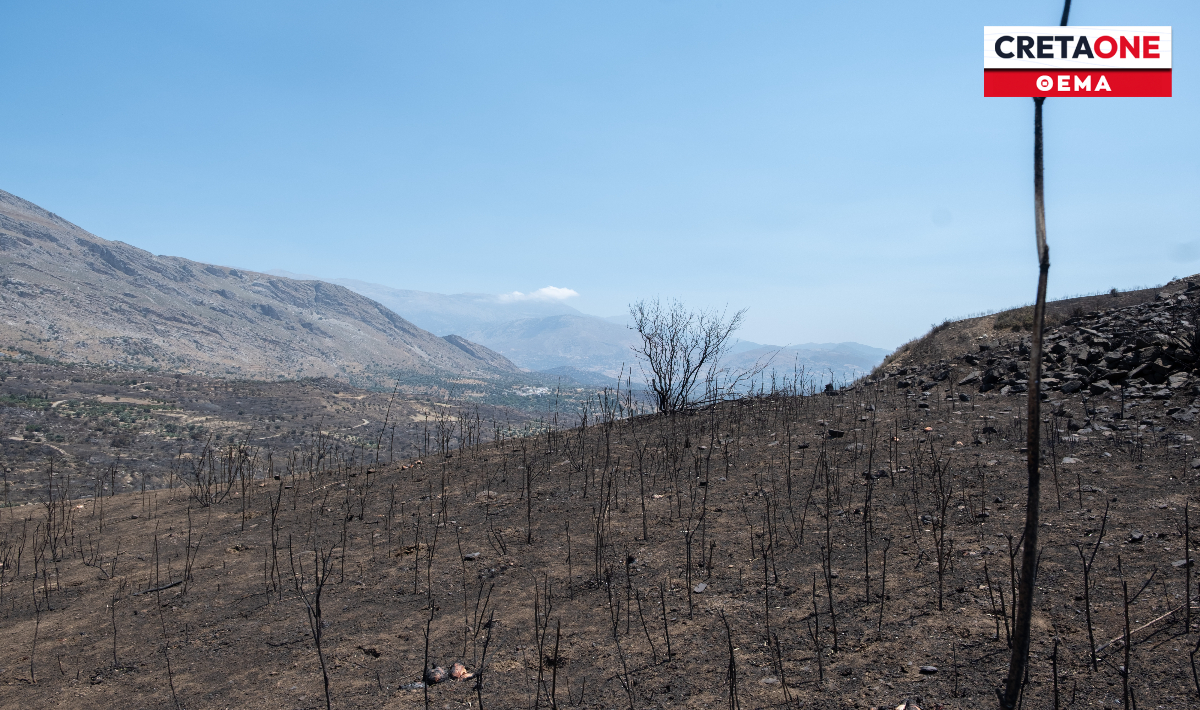 Από τις εξαγγελίες στην πράξη το στοίχημα για τους πυρόπληκτους του Αγίου Βασιλείου – Τι λέει στο CRETAONE ο Γιάννης Ταταράκης