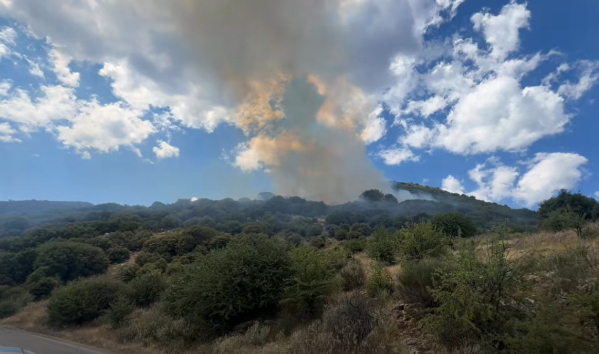 Πυρκαγιά σε δασική έκταση στη Λαμπεία Ηλείας (βίντεο)