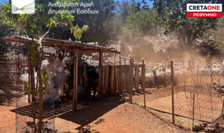 ΑΑΔΕ ΜΥΛΟΠΟΤΑΜΟΣ
