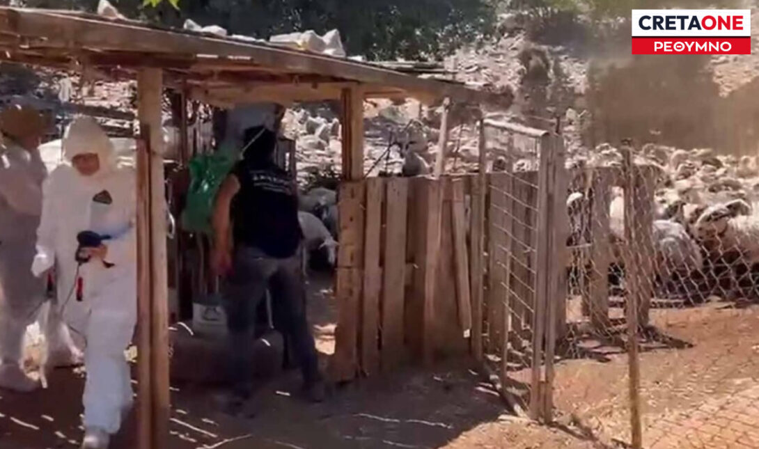 ΑΑΔΕ ΡΕΘΥΜΝΟ