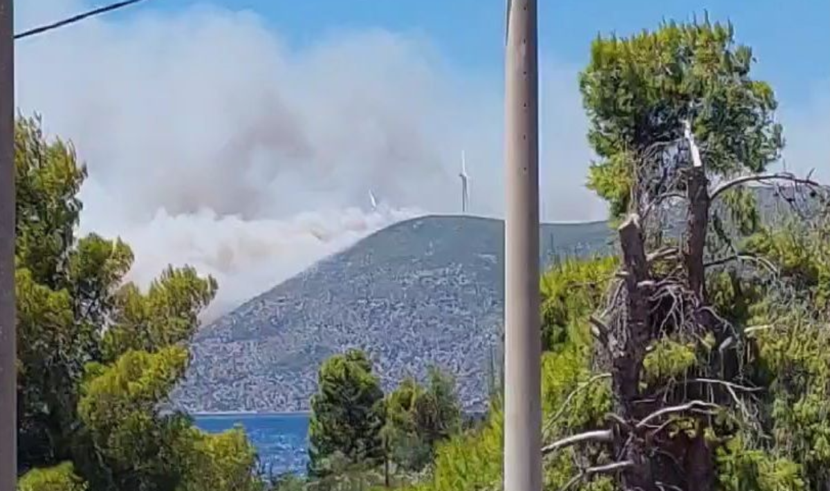 Αττικοβοιωτία: Βίντεο ντοκουμέντο από τα πρώτα λεπτά της μεγάλης πυρκαγιάς
