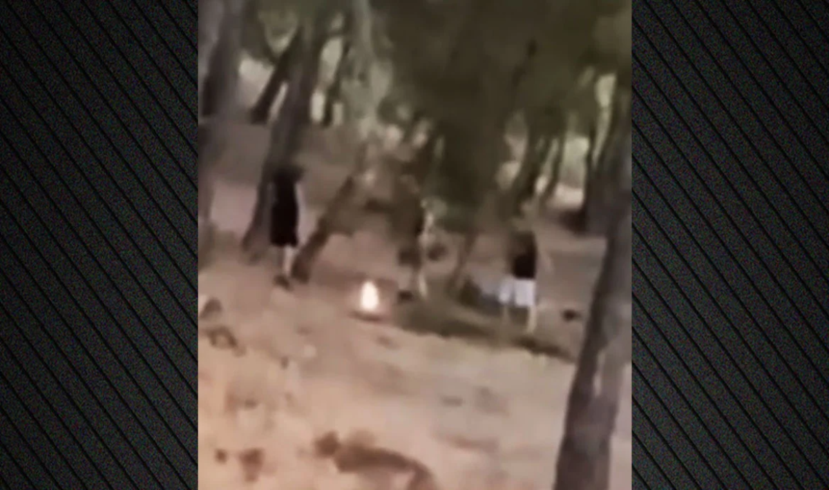 Άνω Βριλήσσια: Εντοπίστηκαν οι ανήλικοι πίσω από το επικίνδυνο «challenge» με τις φωτιές