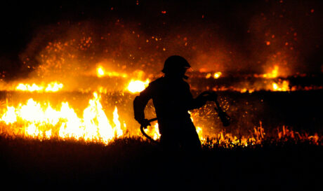 fire