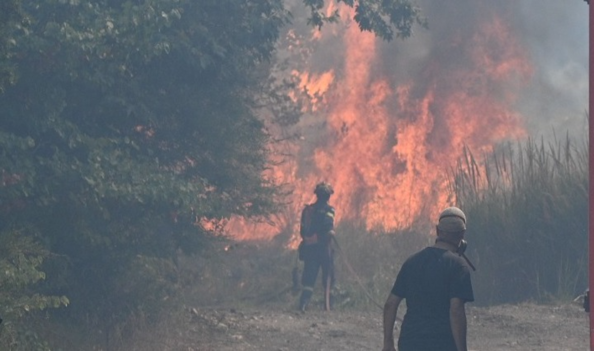 Φωτιά σε Αττικοβοιωτία: Πύρινο μέτωπο στο Όρος Κανδήλι στα Μέγαρα