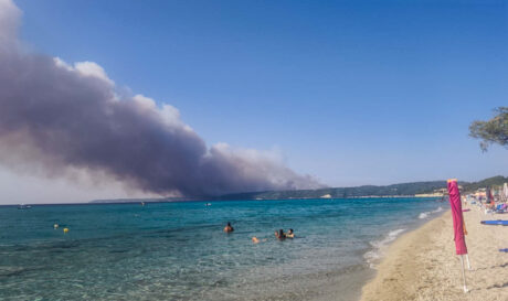 ΧΑΛΚΙΔΙΚΗ