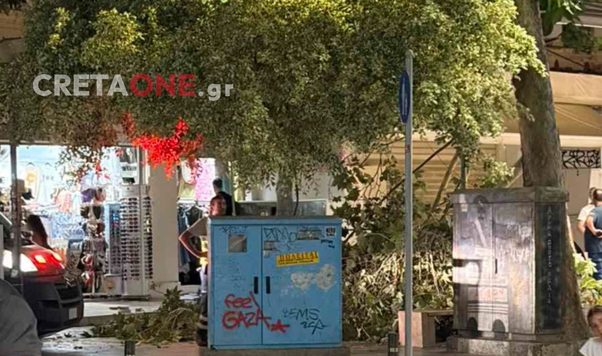 Ηράκλειο: Έπεσε τμήμα δέντρου στο κέντρο της πόλης – Δείτε φωτογραφίες