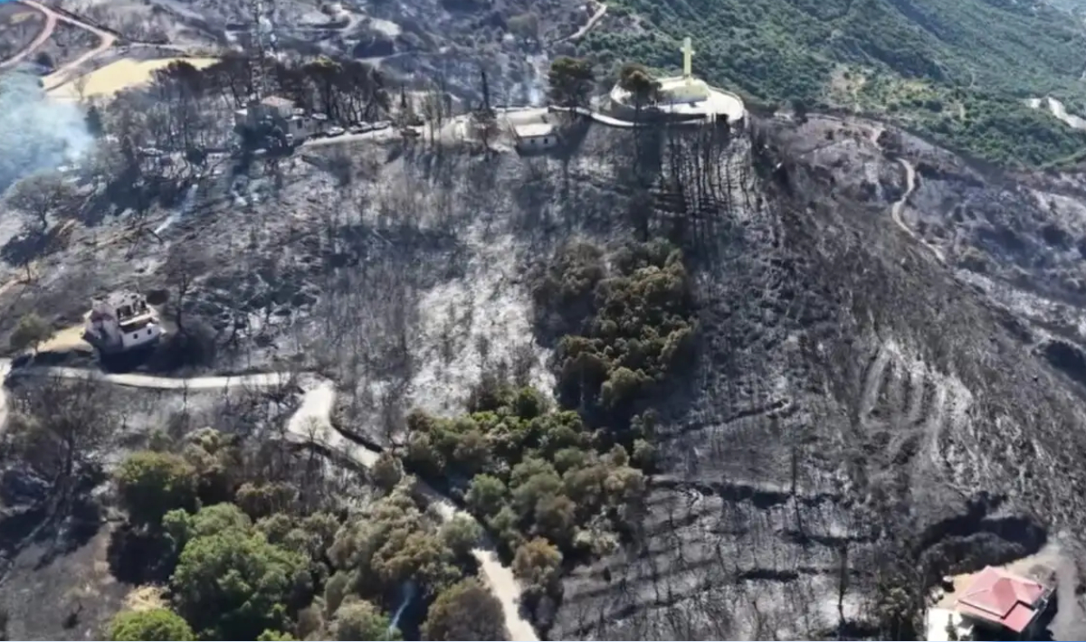 Φωκίδα: Στάχτες και αποκαΐδια στο Σκάλωμα – Συγκλονιστικές εικόνες από drone μετά τη φωτιά