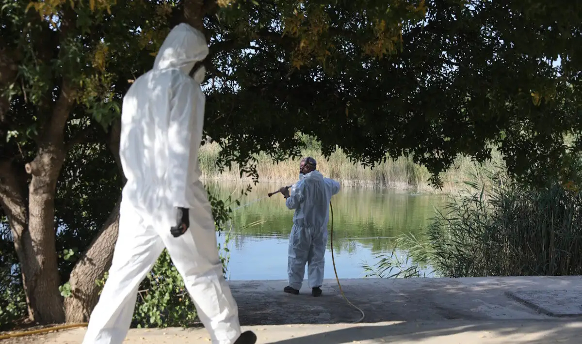 Ιός του Δυτικού Νείλου: Καταγράφηκαν 75 νέα κρούσματα την τελευταία εβδομάδα