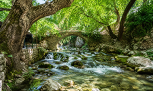 Τα φυσικά «κλιματιστικά» της Κρήτης – 6 μέρη για δροσιά μέσα στον Αύγουστο