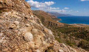 Το μέρος στην Κρήτη όπου μπορείς να δεις τα απομεινάρια μιας θάλασσας εκατομμυρίων ετών – Τι αποκαλύπτουν τα πετρώματα