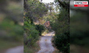 Φαλάσαρνα: Τουρίστρια εντοπίστηκε χωρίς τις αισθήσεις της σε μονοπάτι