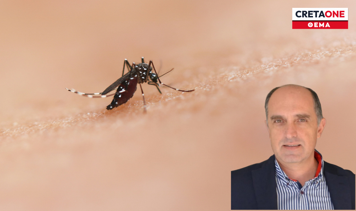 Ιός του Δυτικού Νείλου: Καθησυχαστικός ο Αντώνης Παπαδάκης – «Ασφαλής η Κρήτη»