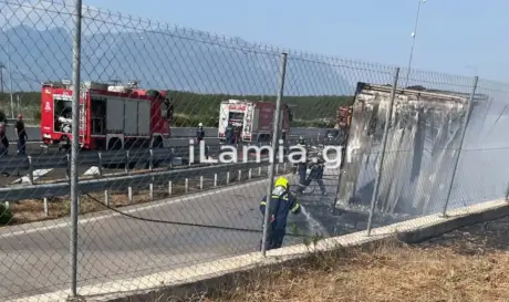 ΛΑΜΙΑ ΦΟΡΤΗΓΟ