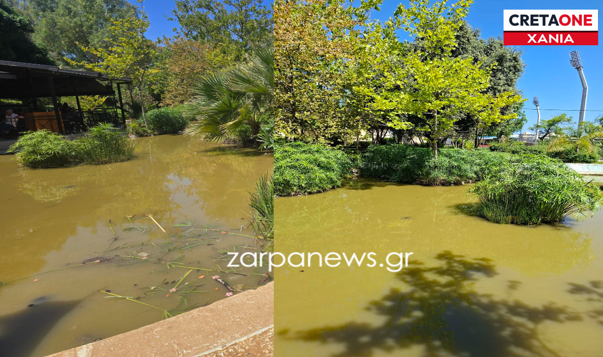 Χανιά: Το πάρκο «πνίγηκε» ξανά στον χρυσοπράσινο βούρκο (φωτογραφία)