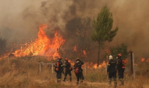 Μεγάλη φωτιά σε Βοιωτία – Αττική: Συνελήφθη ο δήμαρχος Στυλίδας