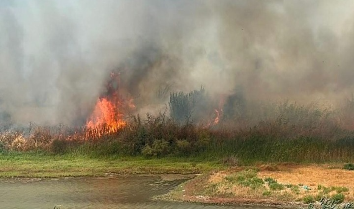 Πυροσβεστική: 49 αγροτοδασικές πυρκαγιές μέσα σε ένα 24ωρο