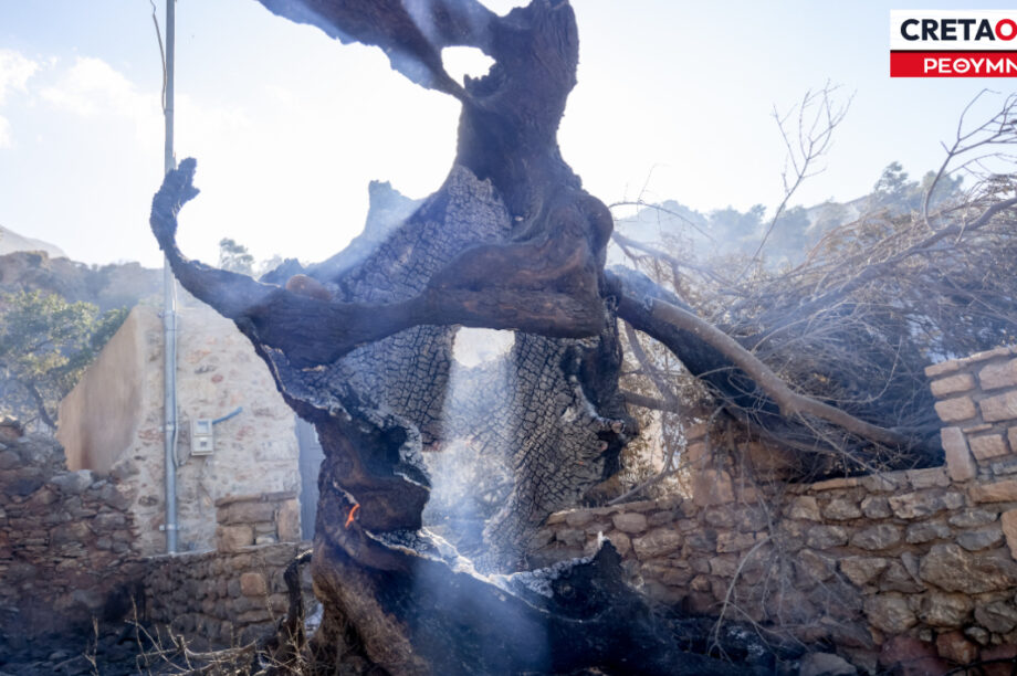 ΦΩΤΙΑ ΡΕΘΥΜΝΟ