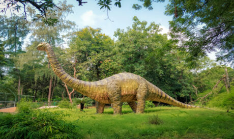 dinosauros