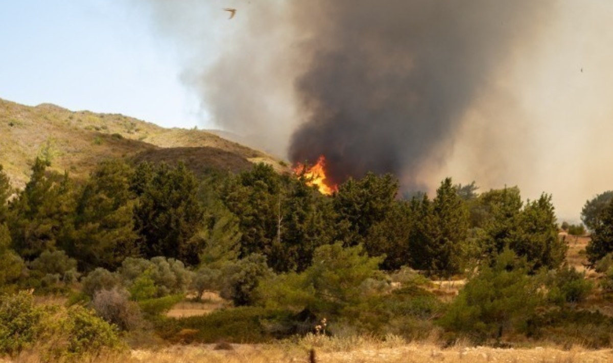 Υπό έλεγχο η φωτιά στην Άνω Βροντού Σερρών – Προκλήθηκε από κεραυνό