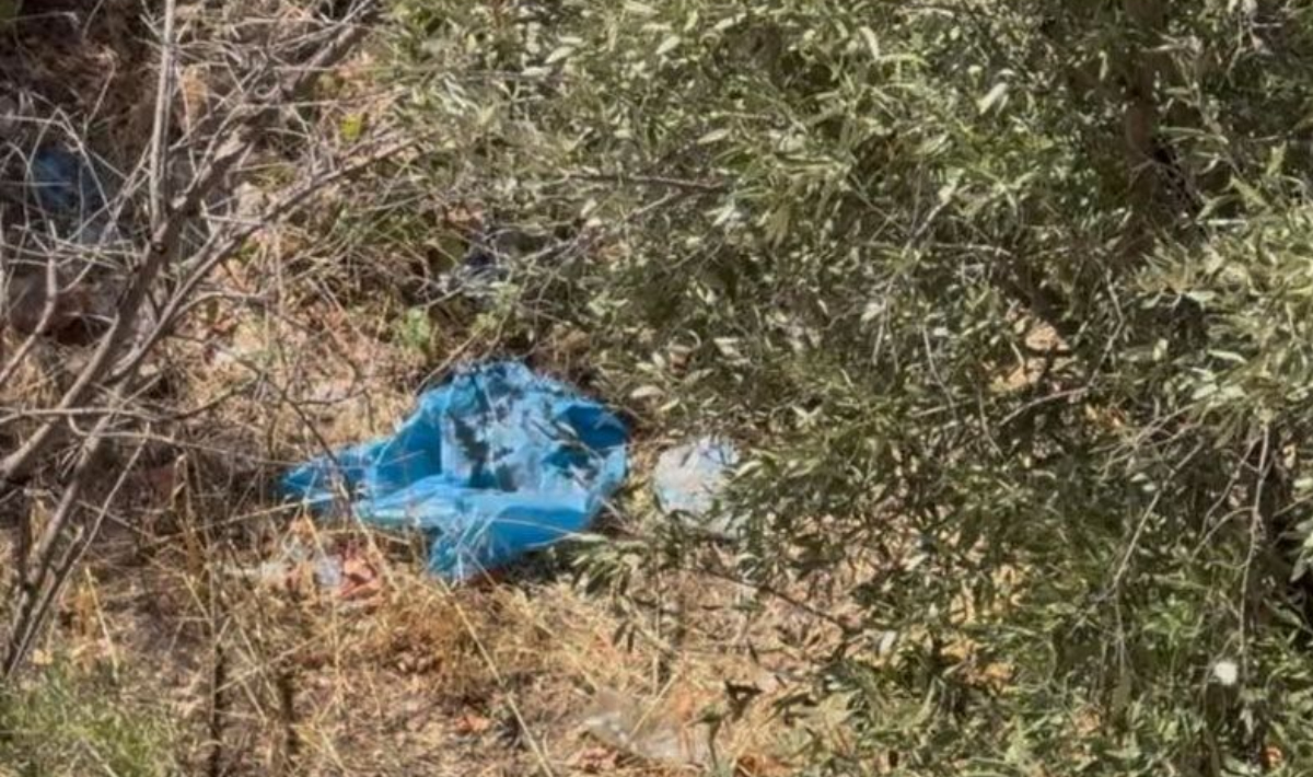 Κυψέλη: Στα εγκληματολογικά εργαστήρια της ΕΛΑΣ τα οστά που εντοπίστηκαν στην Αλεπότρυπα