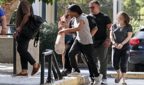 kipseli anakritis gia vrefos (1)