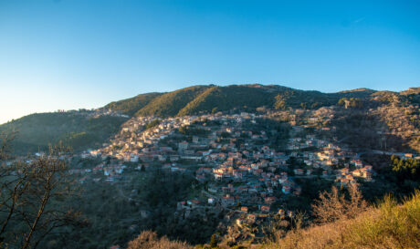 xorio