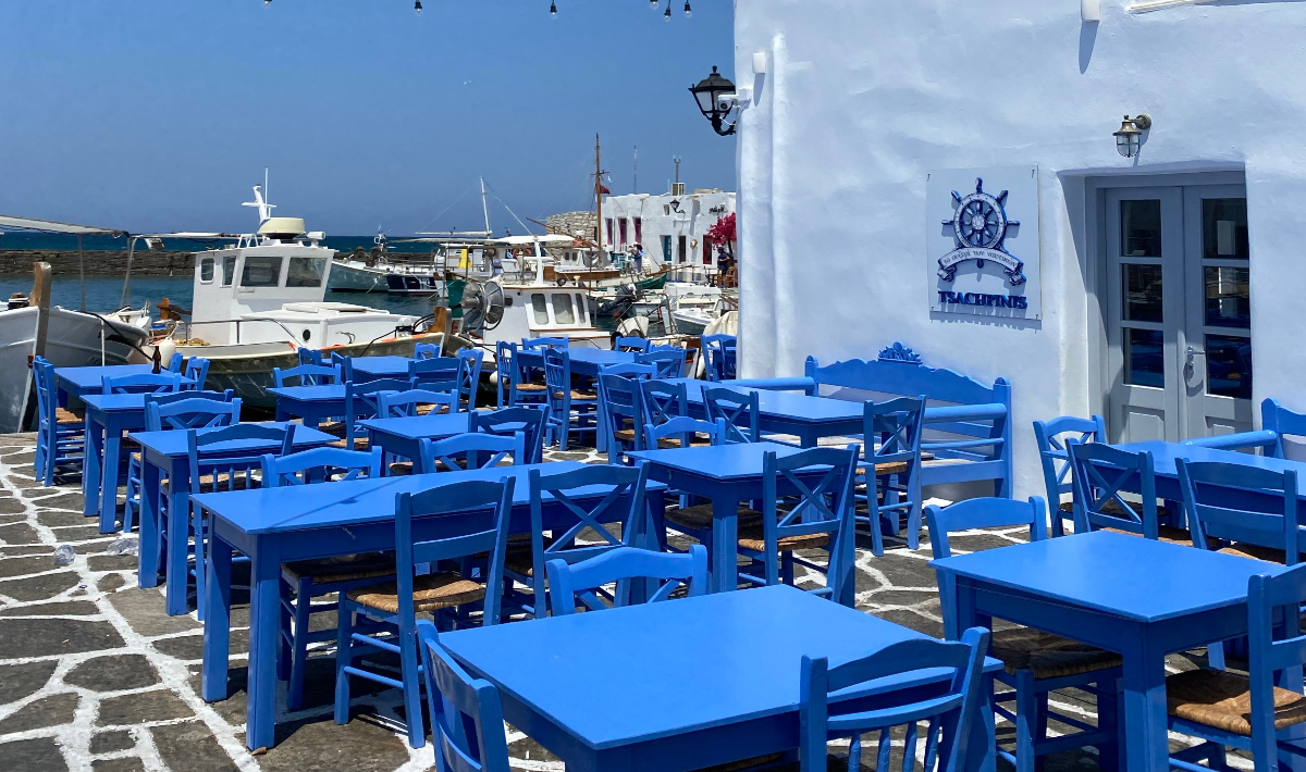 Σύρος: Έλεγχοι της ΑΑΔΕ «κοίταξαν στα μάτια» σφυρίδα – Πώς ακυρώθηκε το πρόστιμο των 500 ευρώ