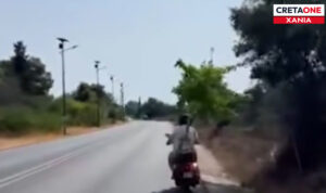 Χανιά: Οδηγός μετέφερε ολόκληρο δέντρο με βέσπα – Δείτε το απίστευτο βίντεο