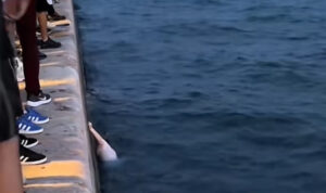 Γυναίκα βούτηξε στον Θερμαϊκό για να πιάσει το κινητό της – Δείτε βίντεο