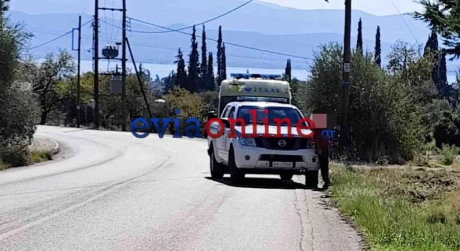Τροχαίο στην Εύβοια: Αυτοκίνητο προσέκρουσε σε μάντρα – Τραυματίστηκε ο 17χρονος οδηγός