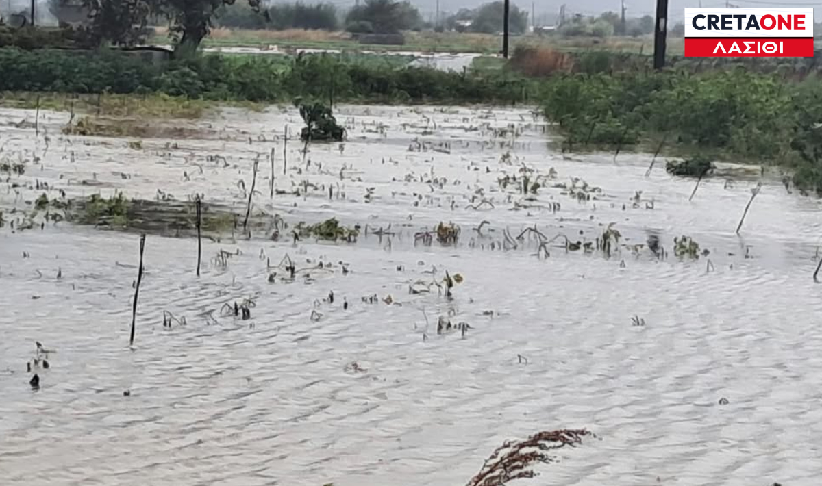Τεράστιες ζημιές στις καλλιέργειες από την κακοκαιρία στο Λασίθι