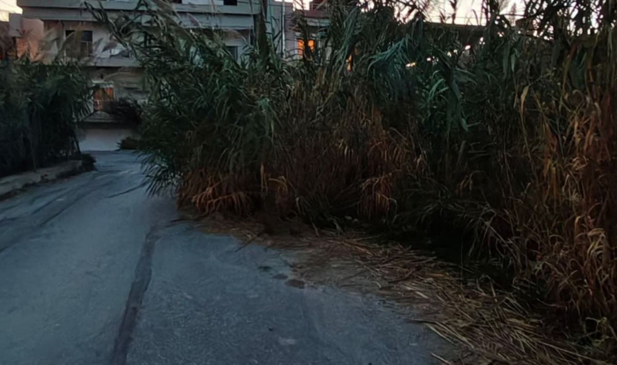 Ηράκλειο: 3 μήνες τα καλάμια στο ίδιο σημείο – Αγανακτισμένοι οι κάτοικοι σε Αγηνόρα και Ανθέων (φώτο)