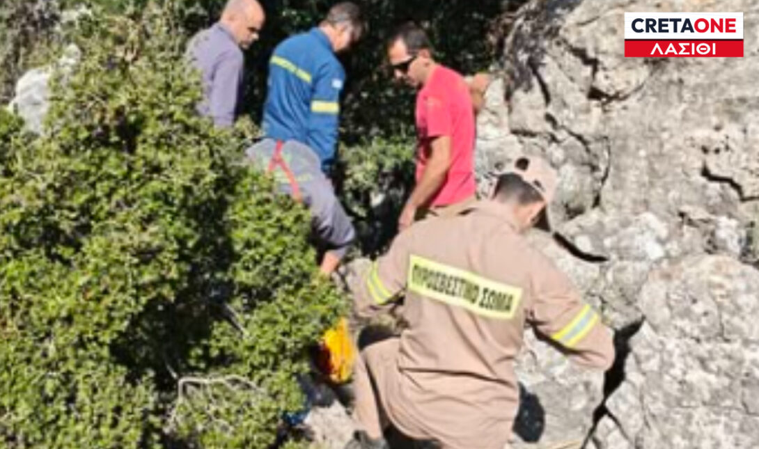 ΔΙΑΣΩΣΗ ΣΗΤΕΙΑ