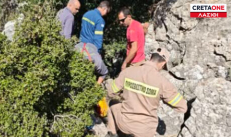 ΔΙΑΣΩΣΗ ΣΗΤΕΙΑ