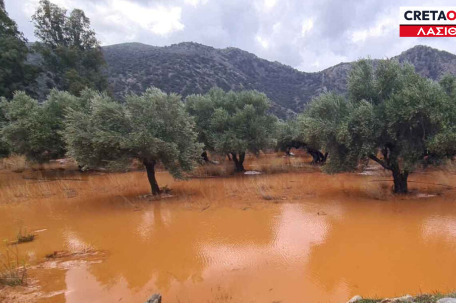 ΛΑΣΙΘΙ ΛΑΚΩΝΙΑ