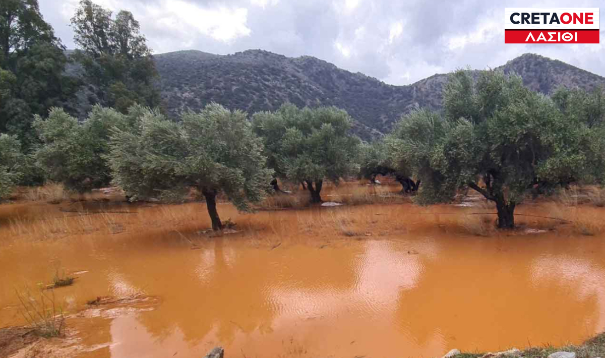 ΛΑΣΙΘΙ ΛΑΚΩΝΙΑ