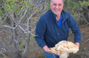 Μεσαρά: Εντυπωσιακό μανιτάρι γίγας 4 κιλών έκανε την εμφάνισή του μετά τις βροχές! (βίντεο)