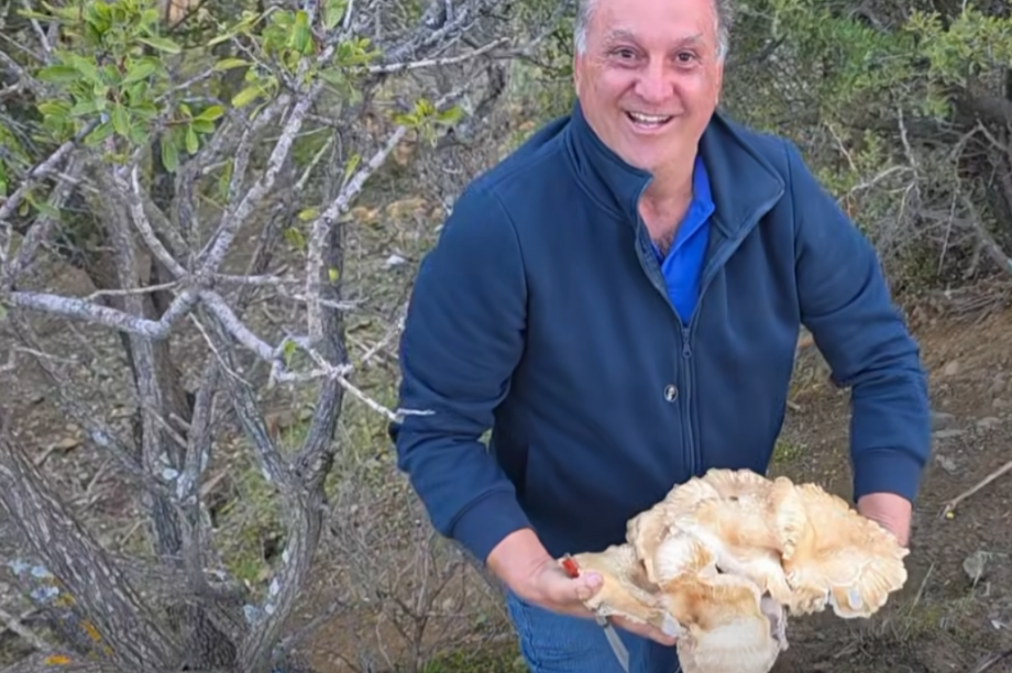 ΜΑΝΙΤΑΡΙ ΓΙΓΑΣ ΜΕΣΑΡΑ