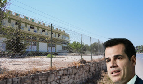 ΠΛΕΥΡΗΣ