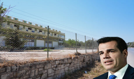 ΠΛΕΥΡΗΣ