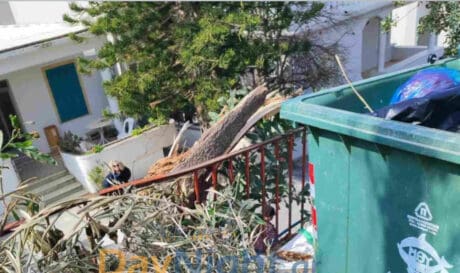 Ρέθυμνο: Έσπασε δέντρο δίπλα σε Δημοτικό Σχολείο