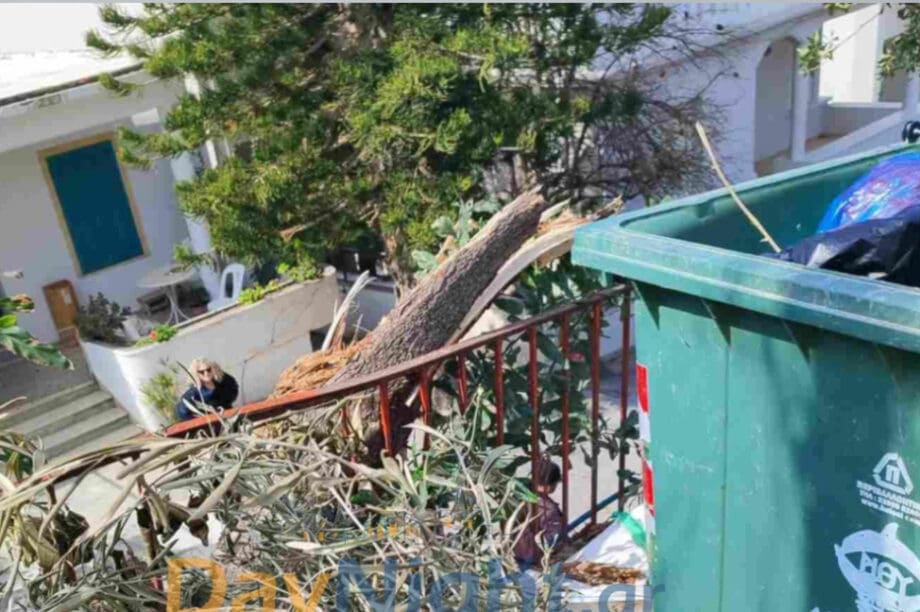 Ρέθυμνο: Έσπασε δέντρο δίπλα σε Δημοτικό Σχολείο