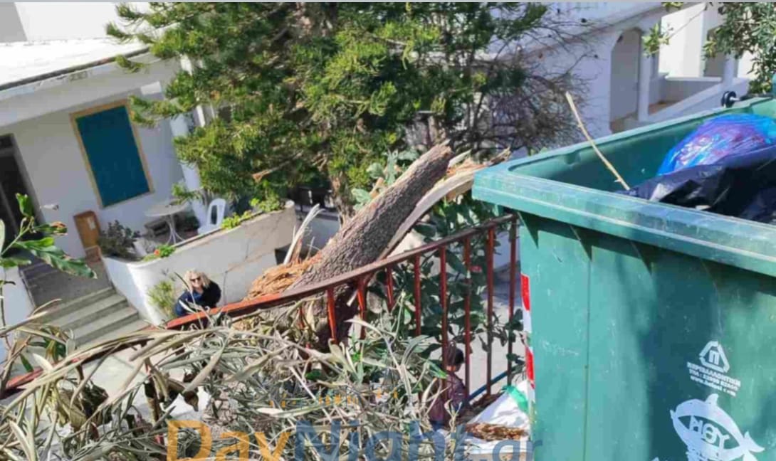 Ρέθυμνο: Έσπασε δέντρο δίπλα σε Δημοτικό Σχολείο